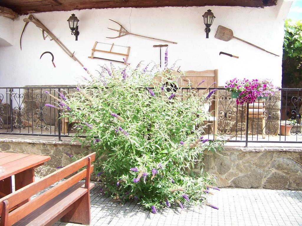 Apartment Liendl ريغرسبورغ المظهر الخارجي الصورة